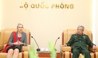 越南与荷兰开展联合国维和合作